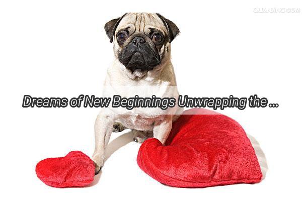 Dreams of New Beginnings Unwrapping the Gift of a Dog in a Dreams Embrace